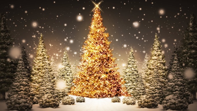 Sparkling-Christmas-Trees